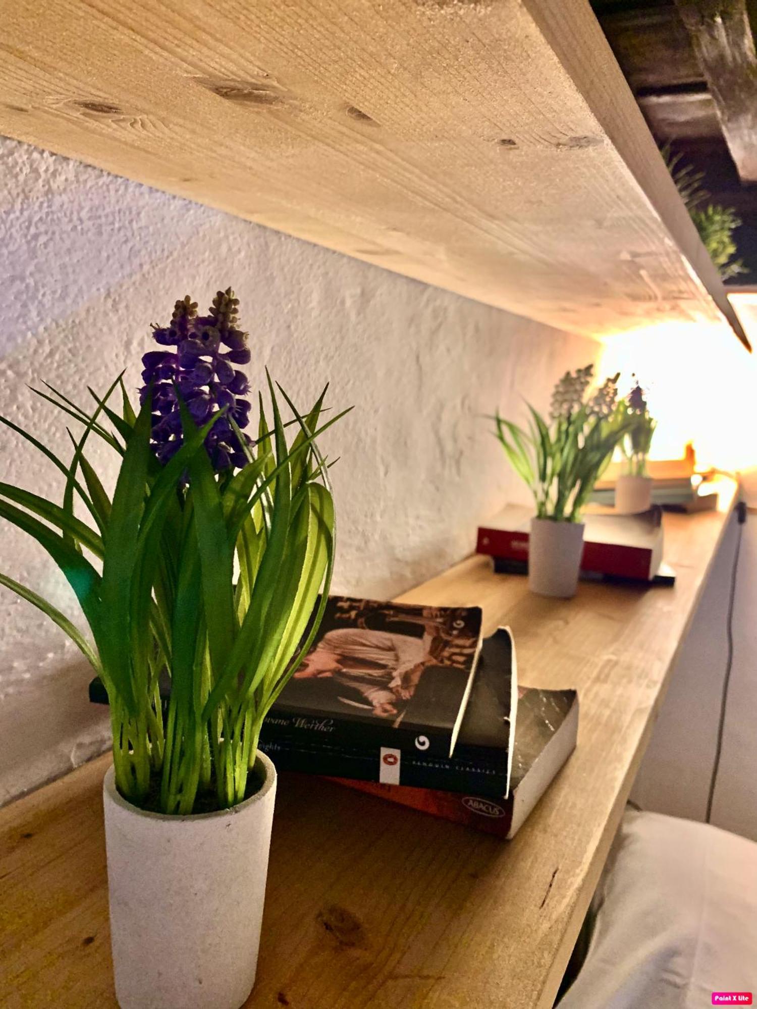 Apartament La Bella Vita Florencja Zewnętrze zdjęcie