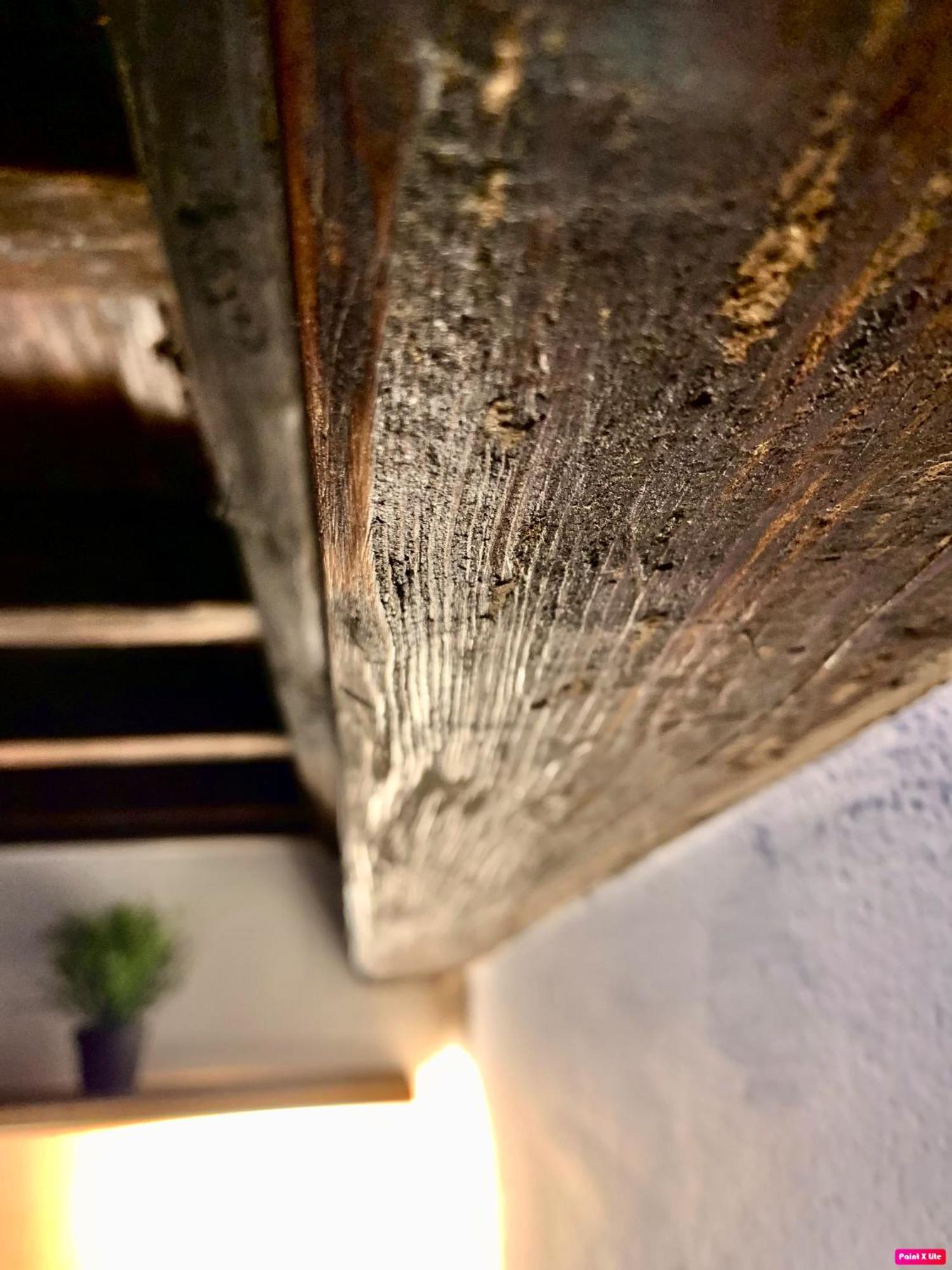 Apartament La Bella Vita Florencja Zewnętrze zdjęcie